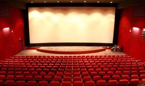 国产视频影院,国产视频影院的璀璨星空  第3张