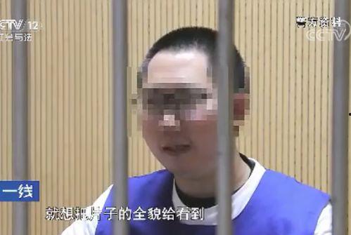 国产91秦先生,揭秘国产影视界的魅力与激情  第3张