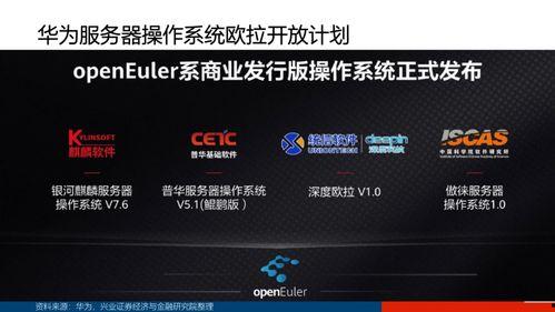 国产页,引领时代潮流的国产力量  第3张